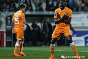 美高梅官网正网-门兴格拉德巴赫足球俱乐部最大股东